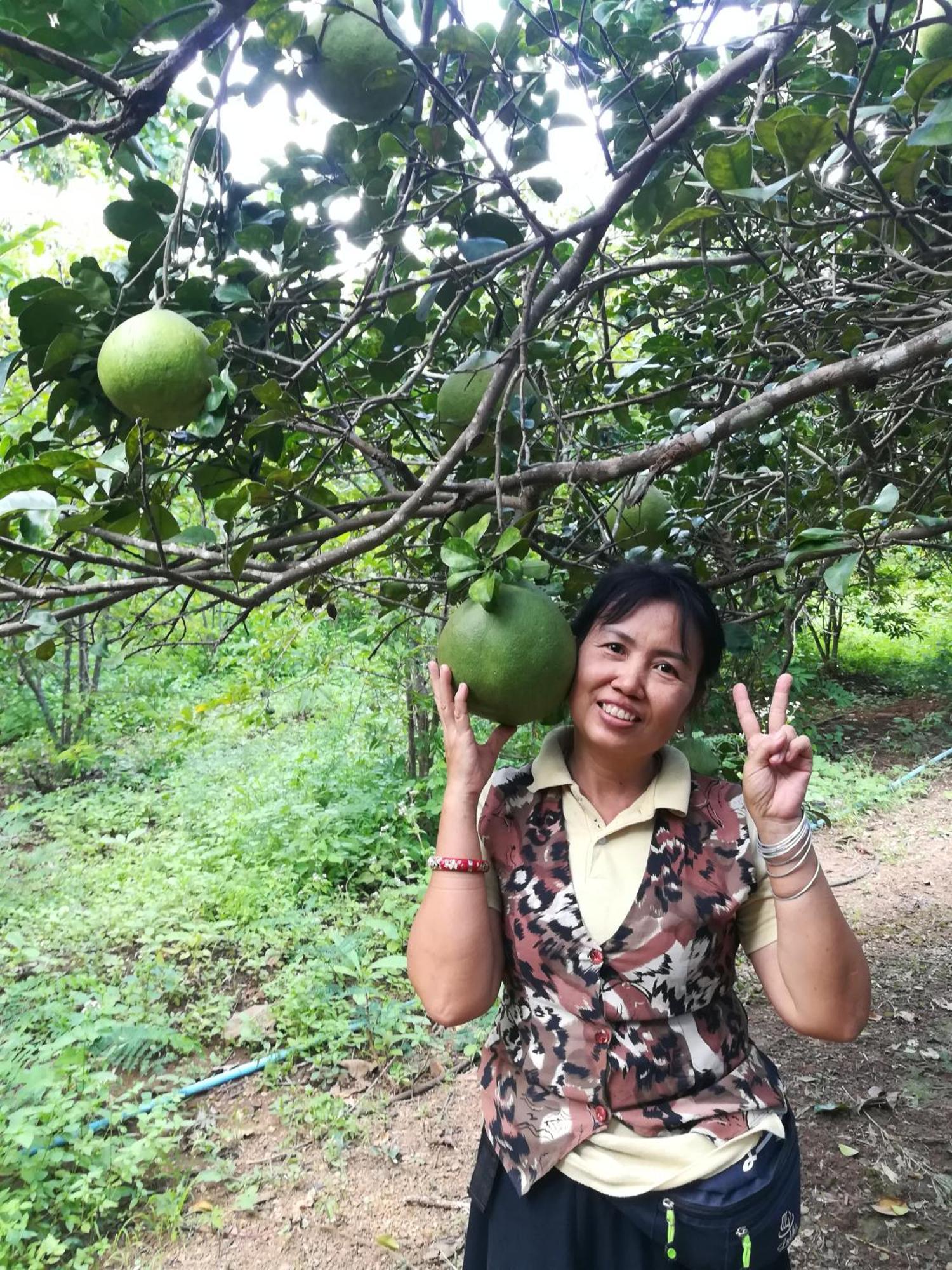 הוילה Ban Huai Maenam Noi Star View Garden מראה חיצוני תמונה