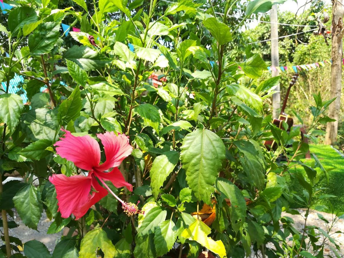 הוילה Ban Huai Maenam Noi Star View Garden מראה חיצוני תמונה